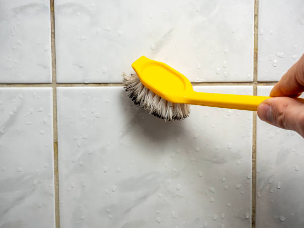 Best Mold Removal Process  in Aurora, IN