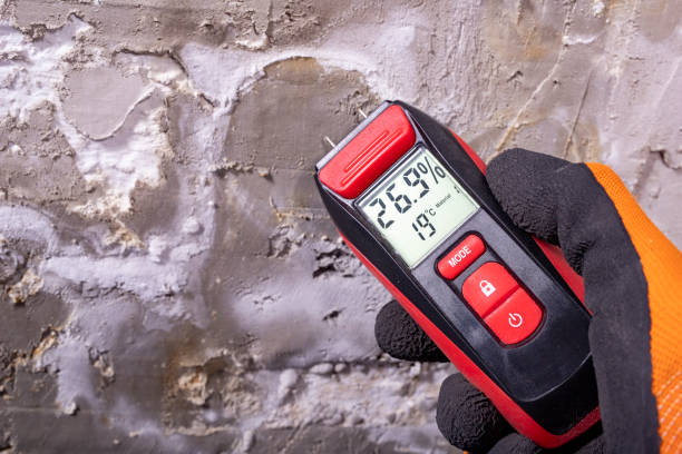 Best Mold Remediation  in Aurora, IN