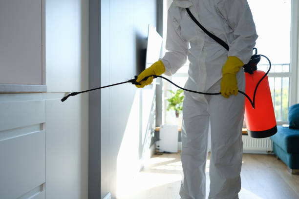 Best Certified Mold Removal  in Aurora, IN
