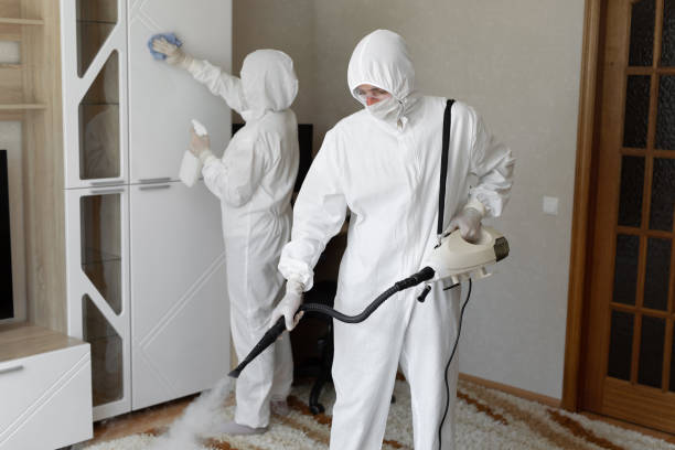 Mold Removal Process in Aurora, IN